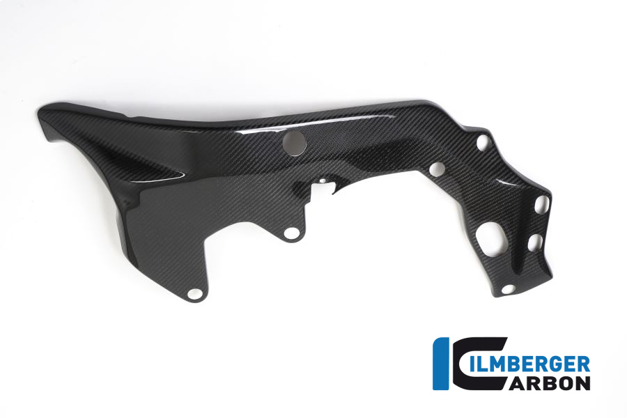 Rahmenabdeckung links BMW HP4 RACE BMW HP4 RACE