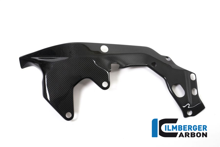 Rahmenabdeckung links BMW HP4 RACE BMW HP4 RACE – Bild 4