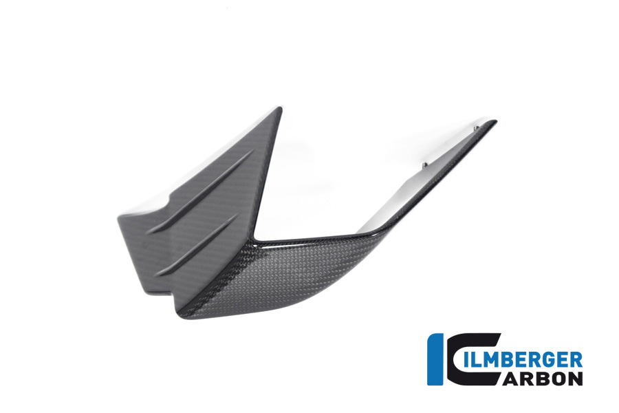 Winglet links BMW M 1000 RR Bj 2021-2022 BMW M 1000 RR Racing (2021-2022)