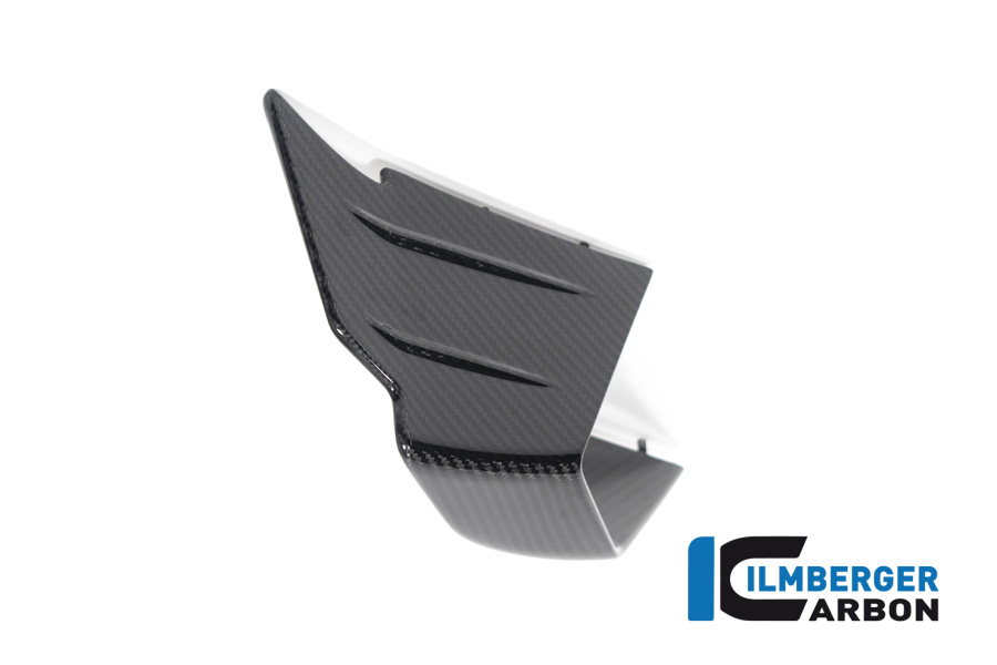 Winglet links BMW M 1000 RR Bj 2021-2022 BMW M 1000 RR Racing (2021-2022) – Bild 2