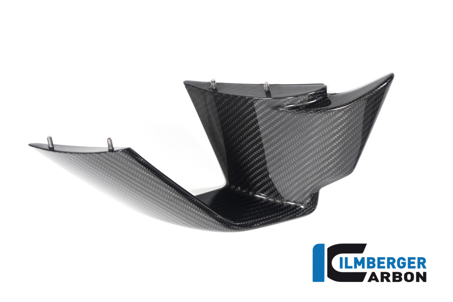 Winglet links BMW M 1000 RR Bj 2021-2022 BMW M 1000 RR Racing (2021-2022) – Bild 3