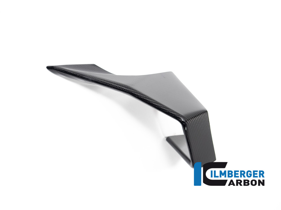 Winglet links BMW M 1000 RR ab 2023 BMW M 1000 RR Strasse (2023-2024) – Bild 2