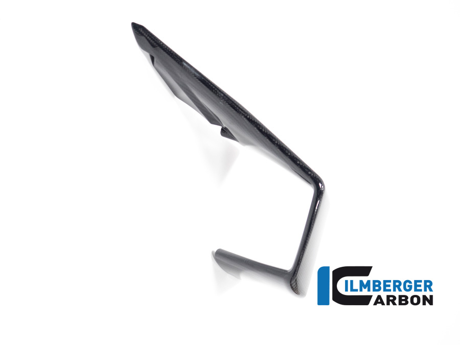 Winglet links BMW M 1000 RR ab 2023 BMW M 1000 RR Strasse (2023-2024) – Bild 3