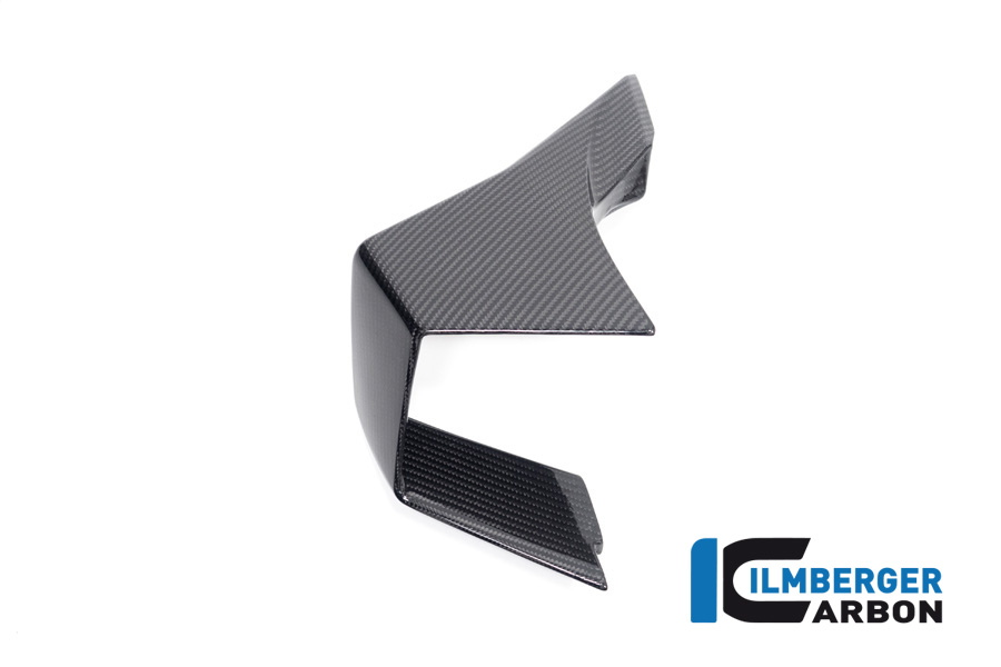 Winglet links BMW M 1000 RR ab 2023 BMW M 1000 RR Strasse (2023-2024) – Bild 5