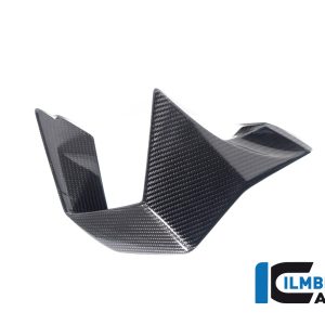 Winglet rechts BMW M 1000 RR ab 2023 BMW M 1000 RR Racing (2023-2024)