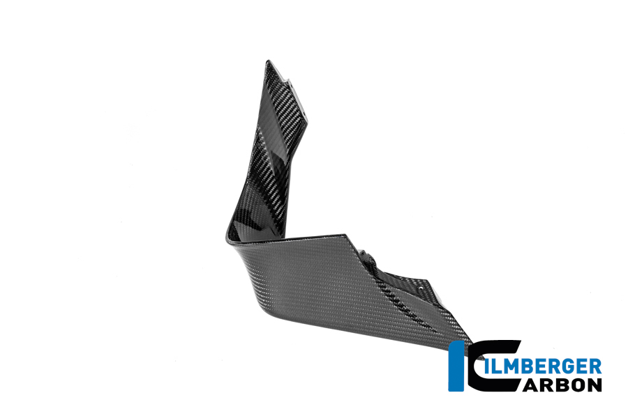 Winglet links BMW M 1000 RR 2025 BMW M 1000 RR Strasse ab 2025 – Bild 2