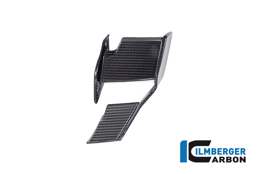Verkleidungswinglet links BMW M1000R ab 2023 BMW S 1000 R ab 2025 – Bild 5