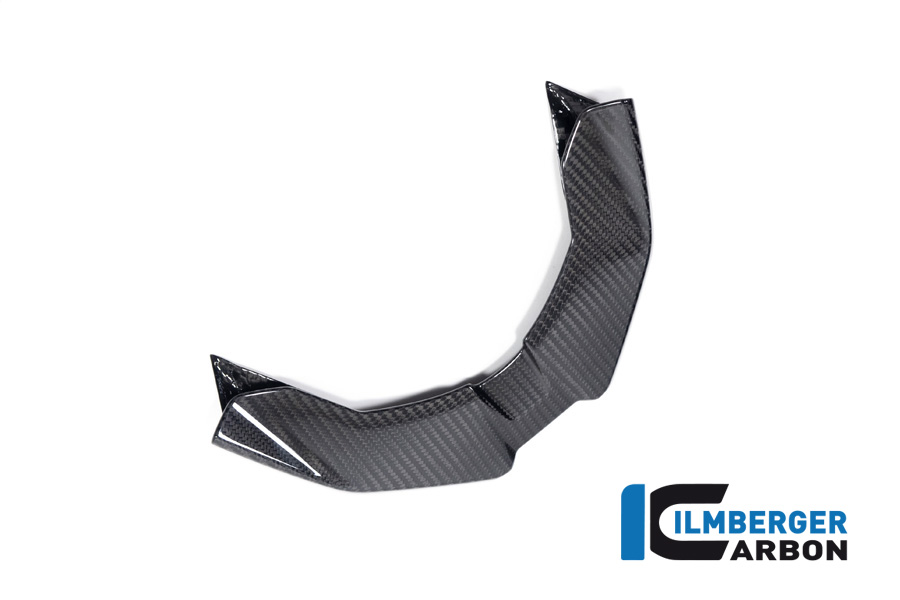 Schnabel vorne BMW M 1000 XR ab 2024 BMW M 1000 XR (ab 2024) – Bild 5