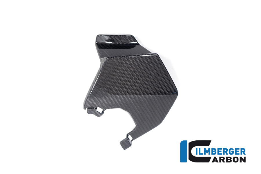 Oberer Winglet links BMW M 1000 XR ab 2024 BMW M 1000 XR (ab 2024)