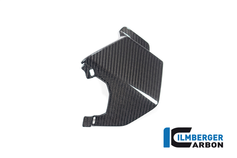 Oberer Winglet links BMW M 1000 XR ab 2024 BMW M 1000 XR (ab 2024) – Bild 3