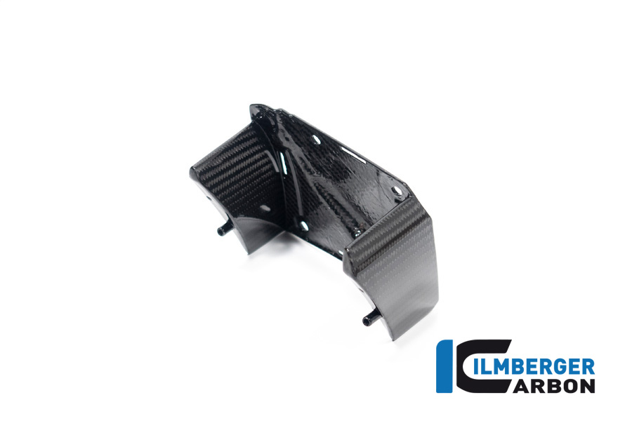 Winglet innen links BMW M 1000 XR ab 2024 BMW M 1000 XR (ab 2024) – Bild 3