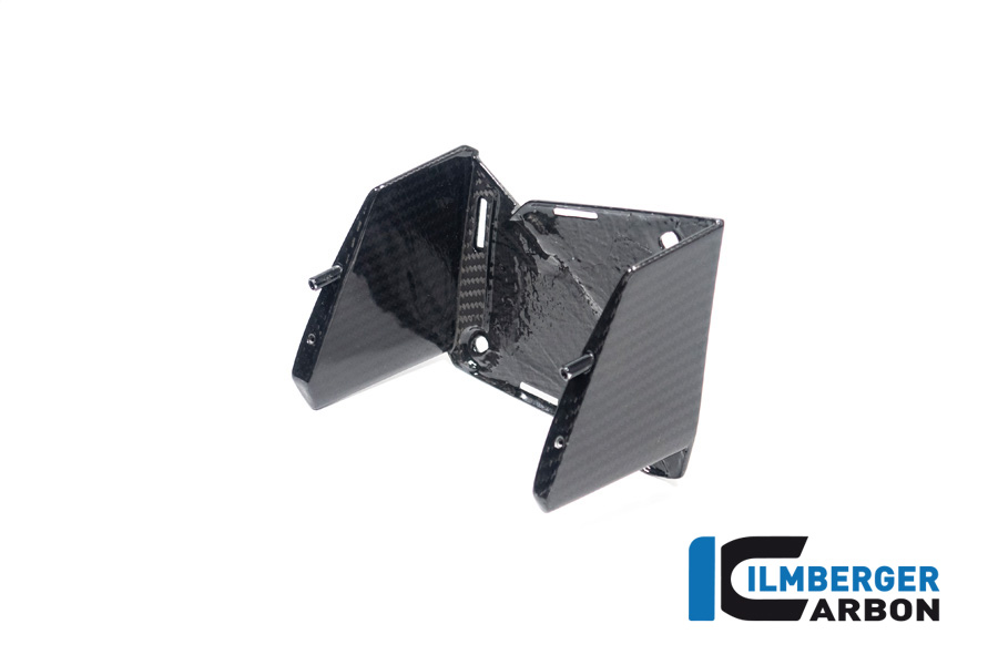 Winglet innen links BMW M 1000 XR ab 2024 BMW M 1000 XR (ab 2024) – Bild 5