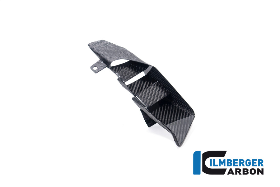 Winglet in der Heckverkleidung links M 1000 XR ab 2024 BMW M 1000 XR (ab 2024)
