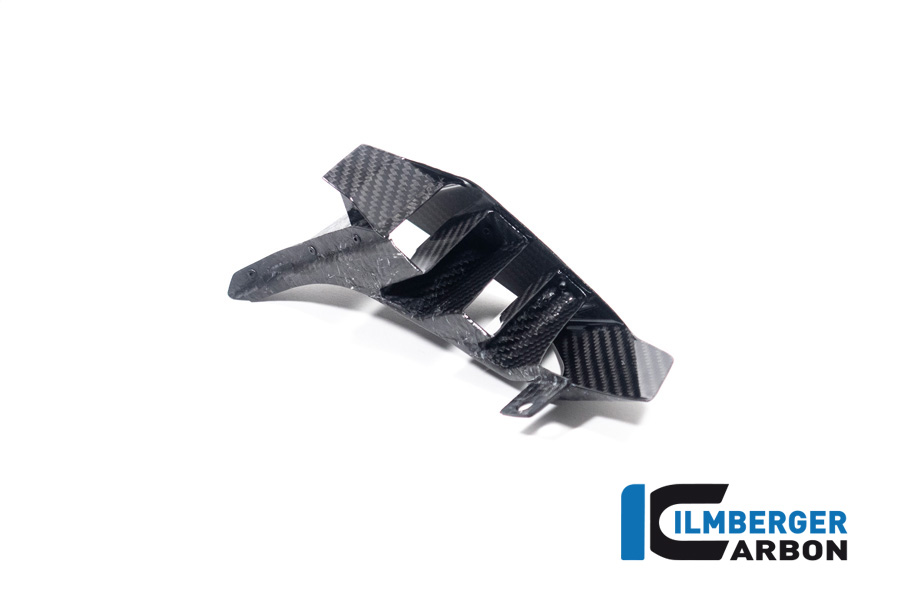 Winglet in der Heckverkleidung links M 1000 XR ab 2024 BMW M 1000 XR (ab 2024) – Bild 2