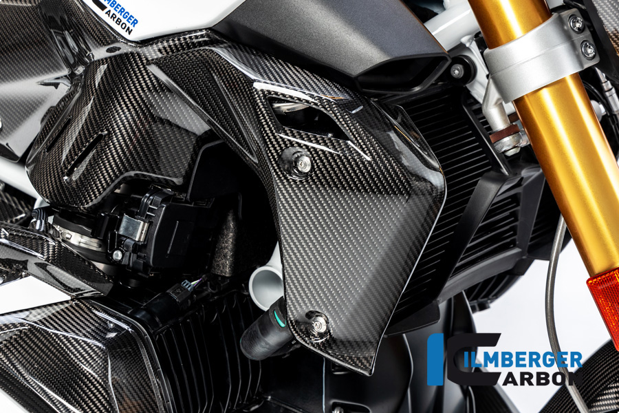 Wasserkühlerabdeckung rechts BMW R 1250 R BMW R 1250 R LC 2019-2023