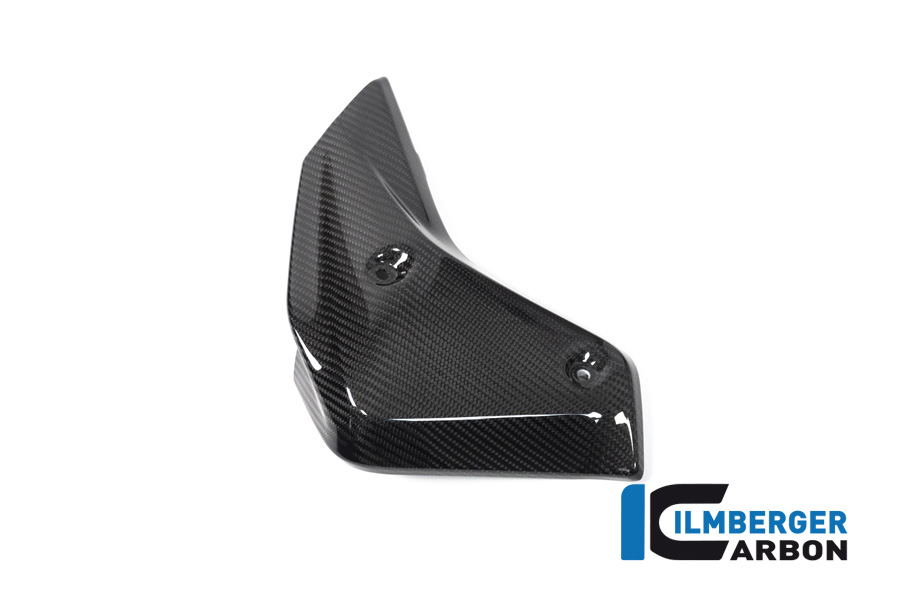 Wasserkühlerabdeckung links BMW R 1250 R BMW R 1250 R LC 2019-2023 – Bild 3