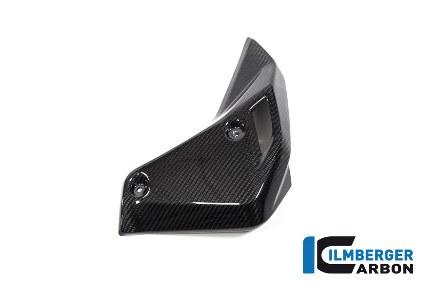 Wasserkühlerabdeckung rechts BMW R 1250 R BMW R 1250 R LC 2019-2023 – Bild 4