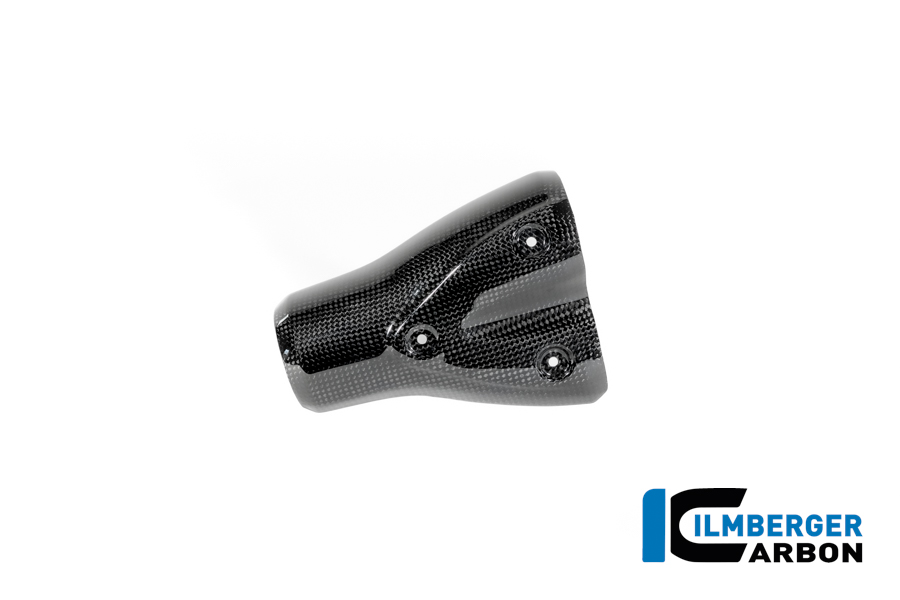Auspuffhitzeschutz Carbon glänzend BMW R12 NineT 2024 BMW R 12 NineT Carbon (ab 2024) – Bild 3
