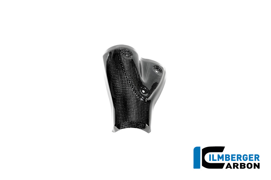 Auspuffhitzeschutz Carbon glänzend BMW R12 NineT 2024 BMW R 12 NineT Carbon (ab 2024) – Bild 4