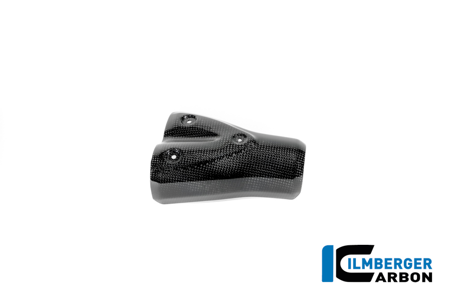 Auspuffhitzeschutz Carbon glänzend BMW R12 NineT 2024 BMW R 12 NineT Carbon (ab 2024) – Bild 5