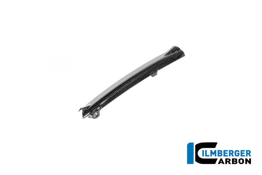 Bremsleitungsabdeckung Carbon glänzend BMW R12 NineT 2024 BMW R 12 NineT Carbon (ab 2024) – Bild 5