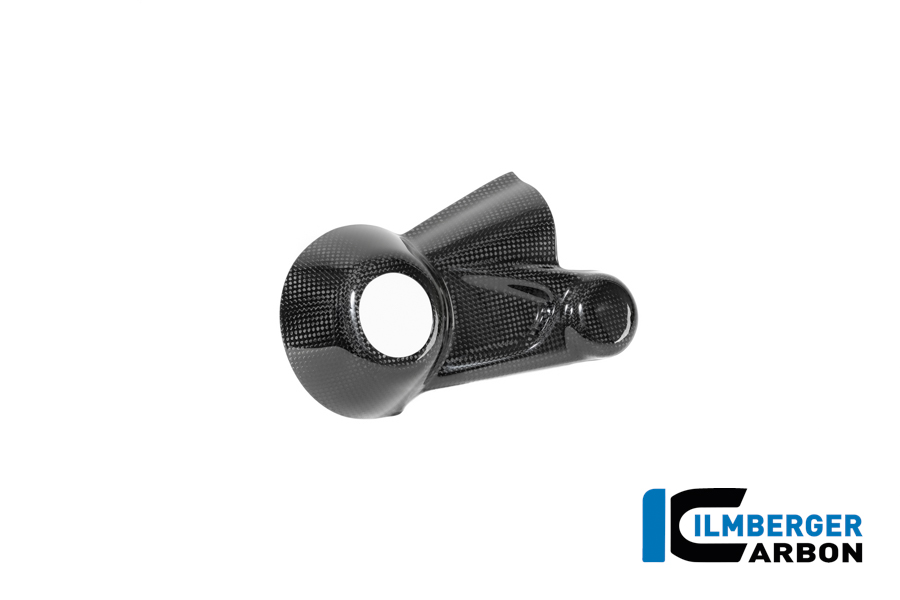 Kardangehäuseabdeckung Carbon glänzend BMW R12 NineT 2024 BMW R 12 NineT Carbon (ab 2024) – Bild 3
