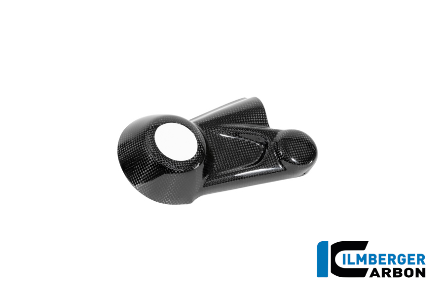 Kardangehäuseabdeckung Carbon glänzend BMW R12 NineT 2024 BMW R 12 NineT Carbon (ab 2024) – Bild 4
