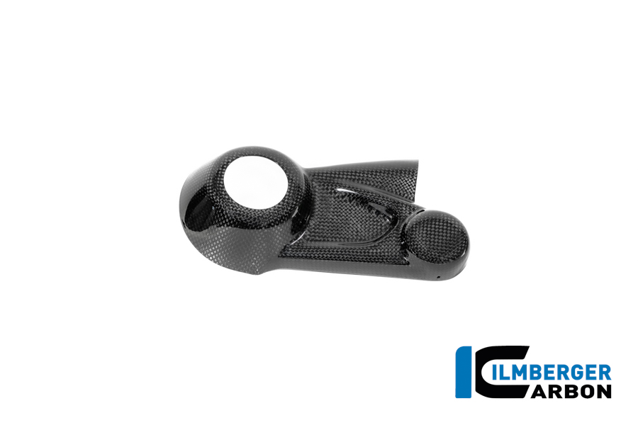 Kardangehäuseabdeckung Carbon glänzend BMW R12 NineT 2024 BMW R 12 NineT Carbon (ab 2024) – Bild 5