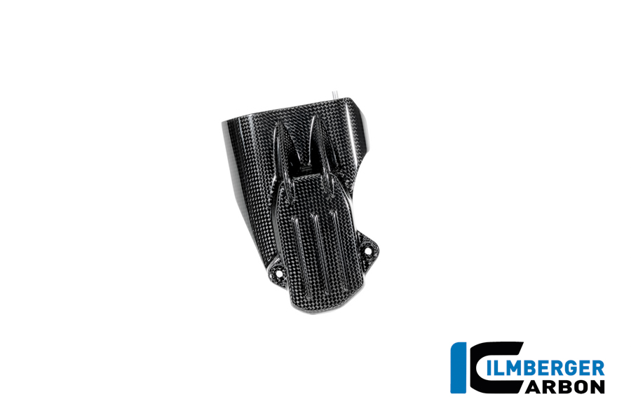 Anlasserabdeckung Carbon glänzend BMW R12 NineT 2024 BMW R 12 NineT Carbon (ab 2024) – Bild 5