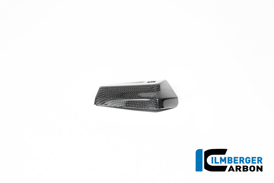 Ölkühlerabdeckung rechts Carbon glänzend BMW R12 NineT 2024 BMW R 12 NineT Carbon (ab 2024) – Bild 4