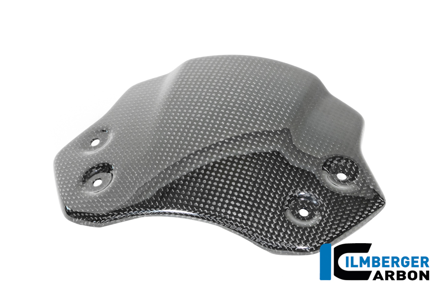 Windschild Carbon glänzend BMW R12 NineT 2024 BMW R 12 NineT Carbon (ab 2024) – Bild 2