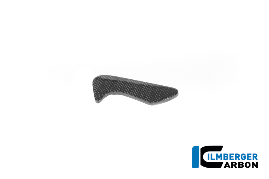Werkzeugkastenabdeckung Carbon glänzend BMW R12 NineT 2024 BMW R 12 NineT Carbon (ab 2024) – Bild 4