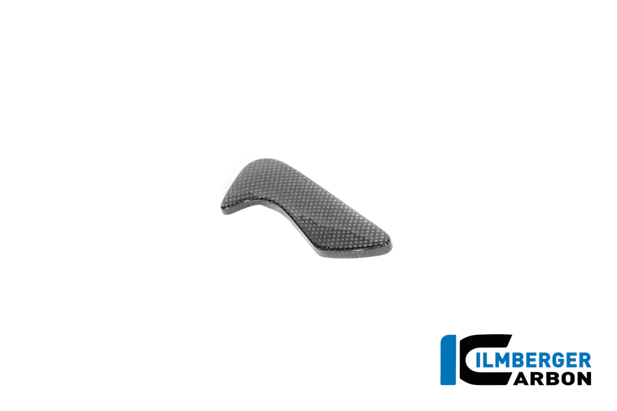 Werkzeugkastenabdeckung Carbon glänzend BMW R12 NineT 2024 BMW R 12 NineT Carbon (ab 2024) – Bild 5