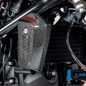 Ölkühlerabdeckung rechts Carbon glänzend BMW R12 NineT 2024 BMW R 12 NineT Carbon (ab 2024)
