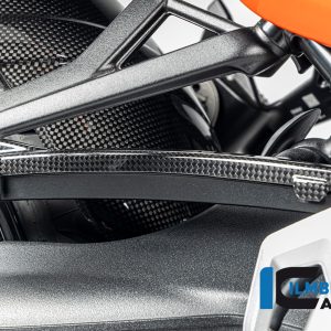 Bremsleitungsabdeckung Carbon glänzend BMW R12 NineT 2024 BMW R 12 NineT Carbon (ab 2024)