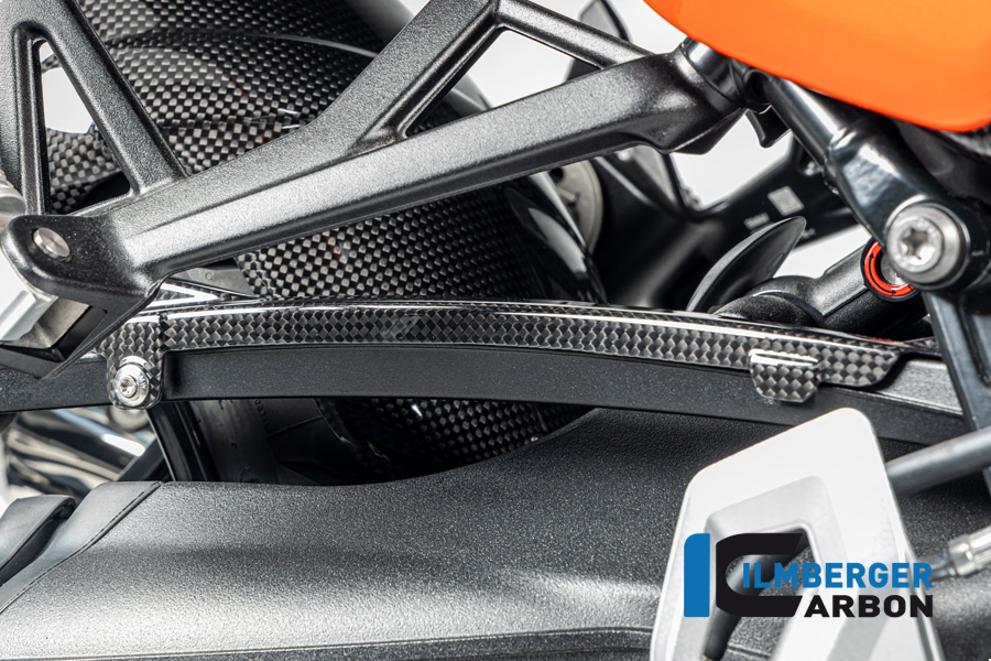 Bremsleitungsabdeckung Carbon glänzend BMW R12 NineT 2024 BMW R 12 NineT Carbon (ab 2024)