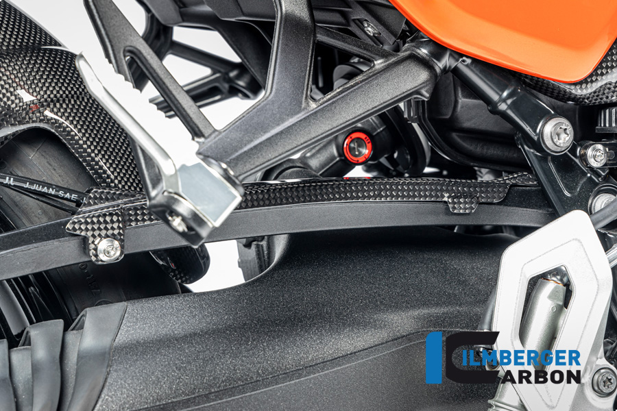 Bremsleitungsabdeckung Carbon glänzend BMW R12 NineT 2024 BMW R 12 NineT Carbon (ab 2024) – Bild 2