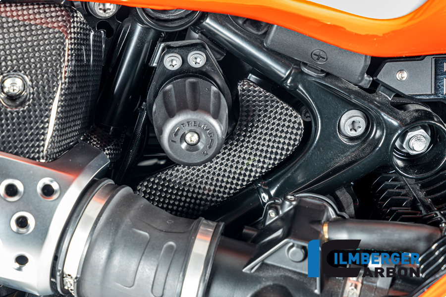 Werkzeugkastenabdeckung Carbon glänzend BMW R12 NineT 2024 BMW R 12 NineT Carbon (ab 2024) – Bild 2