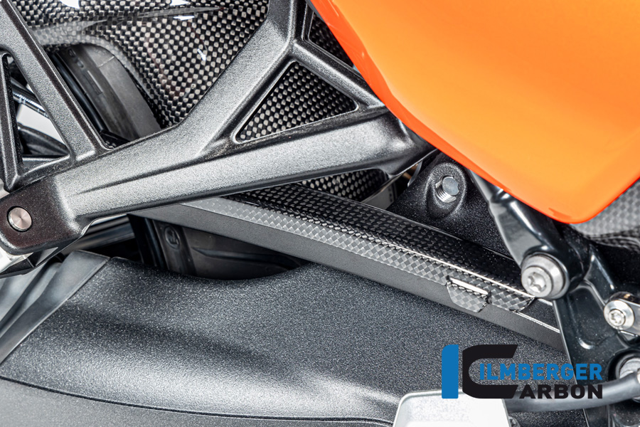 Bremsleitungsabdeckung Carbon glänzend BMW R12 NineT 2024 BMW R 12 NineT Carbon (ab 2024) – Bild 3