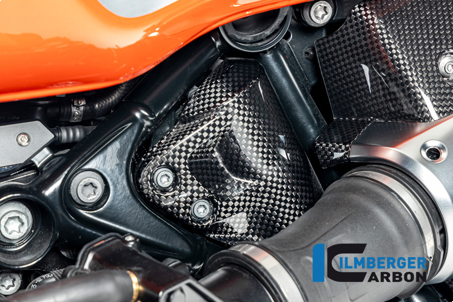 Tankentlüftung abdeckung Carbon glänzend BMW R12 NineT 2024 BMW R 12 NineT Carbon (ab 2024)