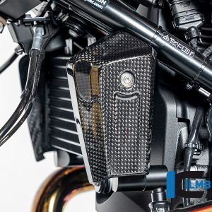 Ölkühlerabdeckung links Carbon glänzend BMW R12 NineT 2024 BMW R 12 NineT Carbon (ab 2024)