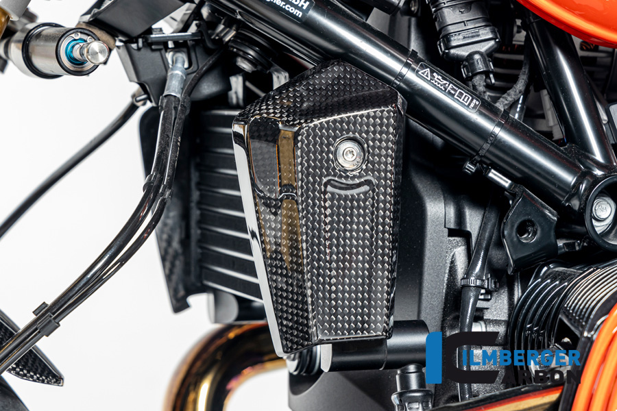 Ölkühlerabdeckung links Carbon glänzend BMW R12 NineT 2024 BMW R 12 NineT Carbon (ab 2024)