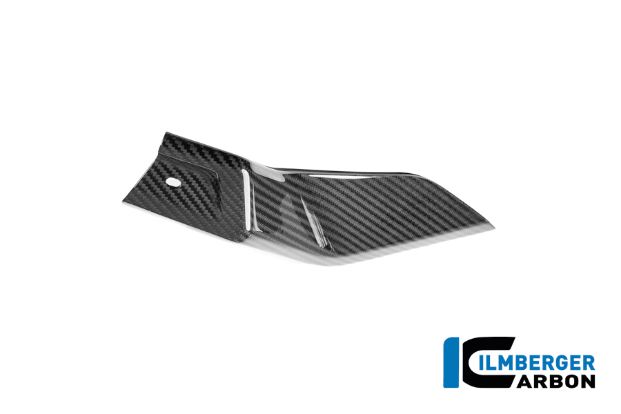 Tankabdeckung unten links Carbon glänzend R 1300 GS Adventure BMW R 1300 GS Adventure (ab 2024) Carbon – Bild 3