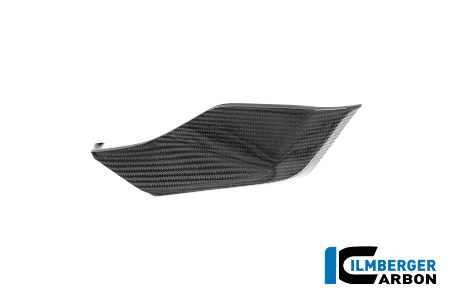 Tankabdeckung unten links Carbon glänzend R 1300 GS Adventure BMW R 1300 GS Adventure (ab 2024) Carbon – Bild 4