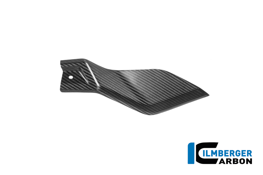 Tankabdeckung unten links Carbon matt R 1300 GS Adventure BMW R 1300 GS Adventure (ab 2024) Carbon