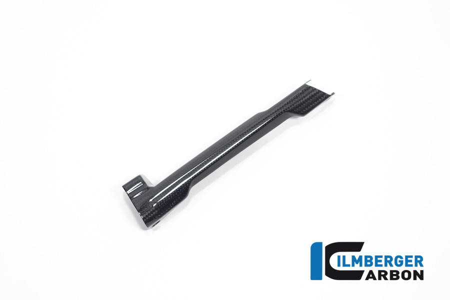 Bremsleitungsabdeckung glänzend BMW R 1300 GS ab 2023 BMW R 1300 GS Adventure (ab 2024) Carbon
