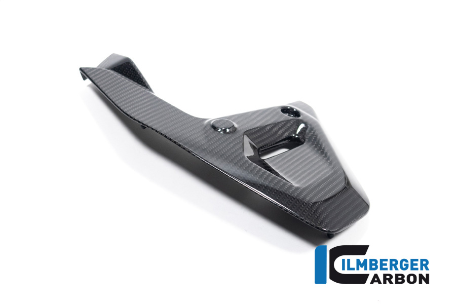Rahmendreieckcover links glänzend BMW R 1300 GS ab 2023 BMW R 1300 R Carbon – Bild 2