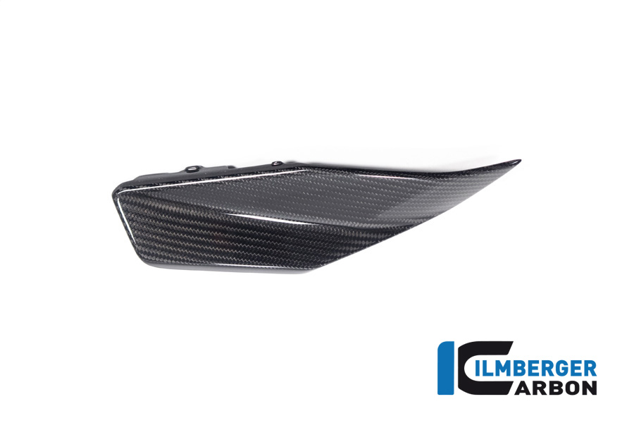 Tankabdeckung unten links glänzend BMW R 1300 GS ab 2023 BMW R 1300 GS (ab 2023) Carbon