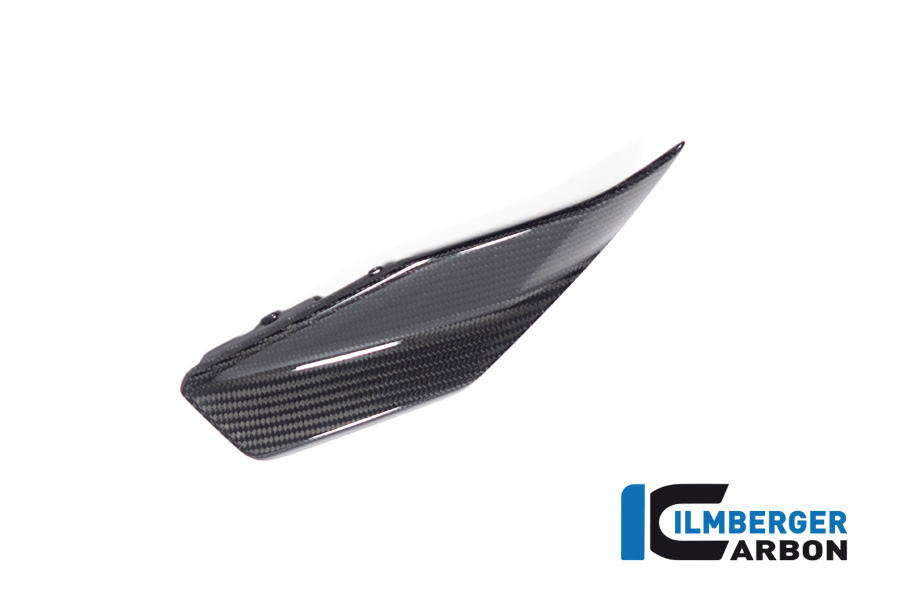 Tankabdeckung unten links glänzend BMW R 1300 GS ab 2023 BMW R 1300 GS (ab 2023) Carbon – Bild 2