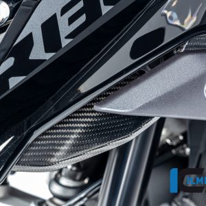 Luftauslassverkleidung links matt BMW R 1300 GS ab 2023 BMW R 1300 GS (ab 2023) Carbon